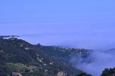 DSC_6155 (Large).JPG